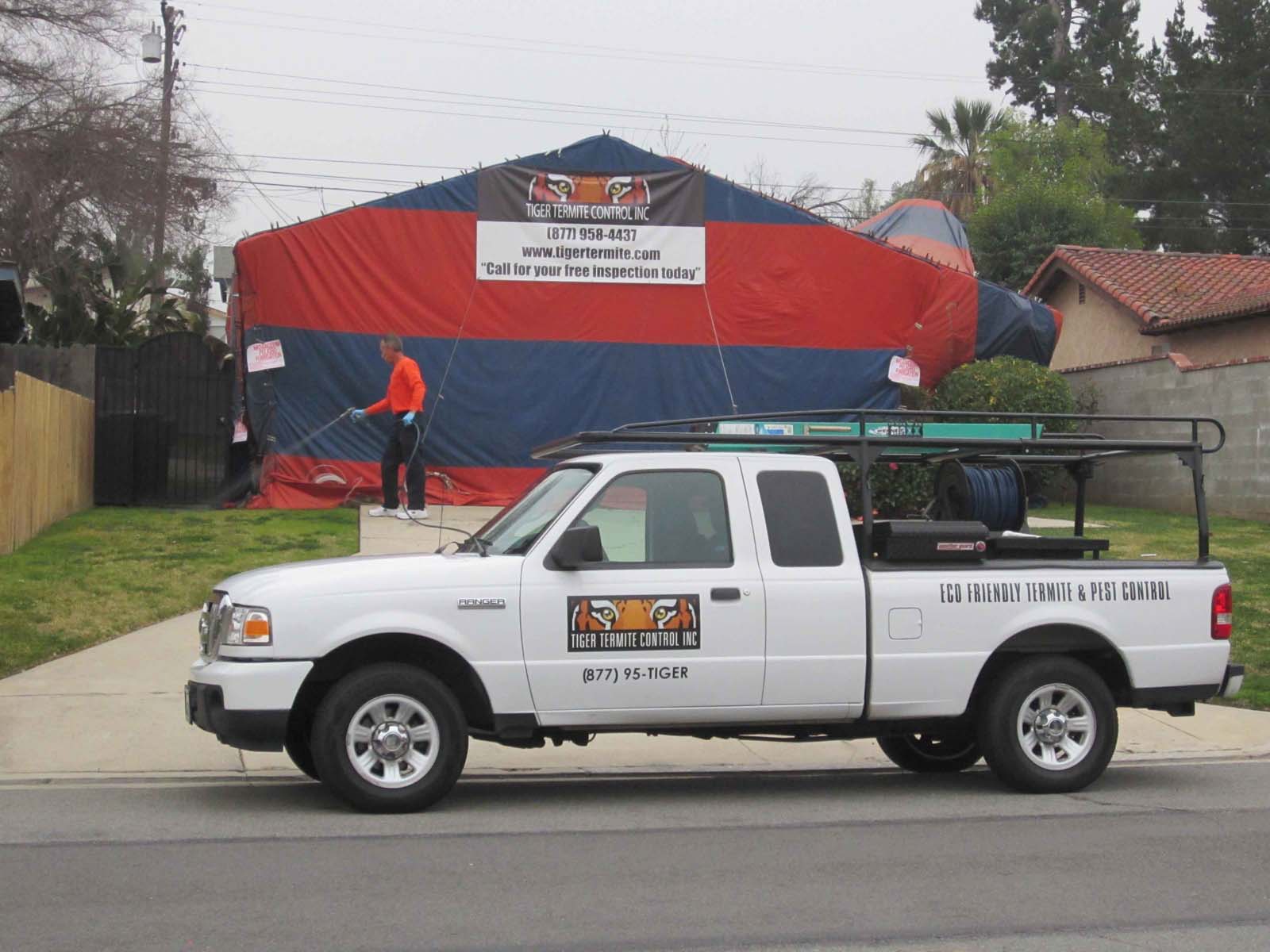 Tiger Termite Control service truck parked in front of a home undergoing fumigation tenting