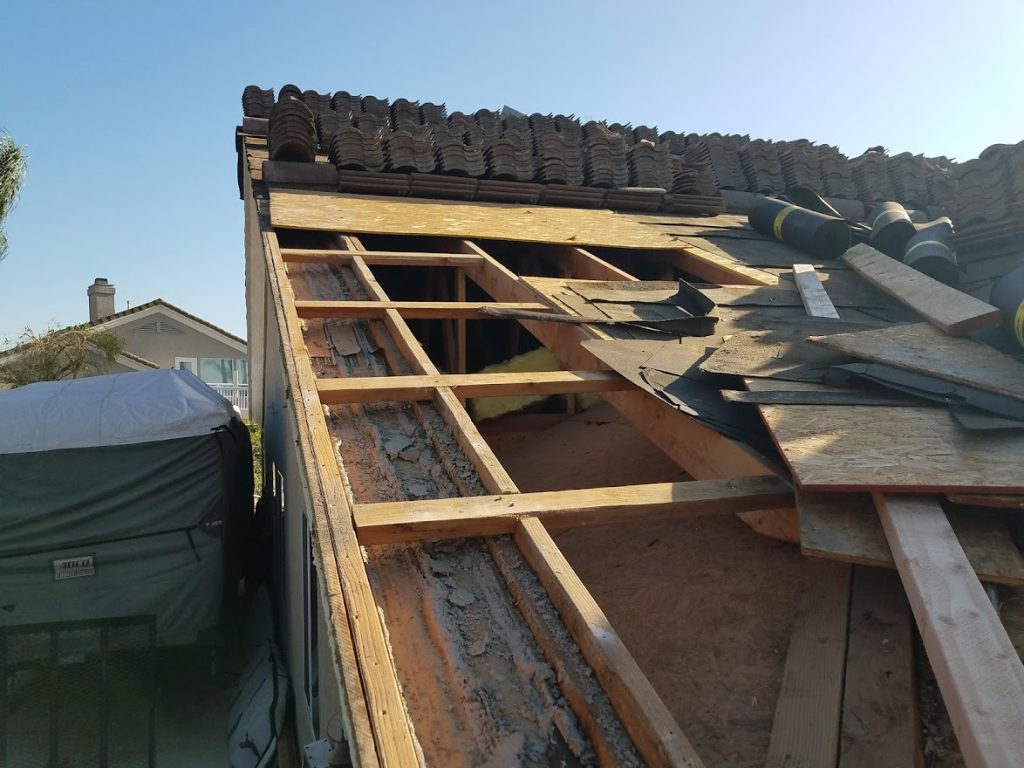 Tiger Termite technician performing a roof-line termite inspection