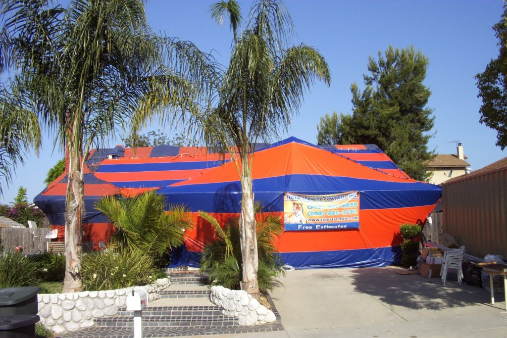 Front view of Tiger Termite fumigating Chino Hills house