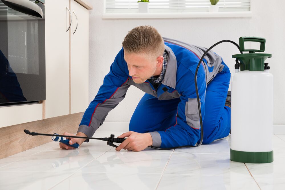 Pest Control technician treating a kitchen